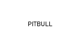 Pitbull