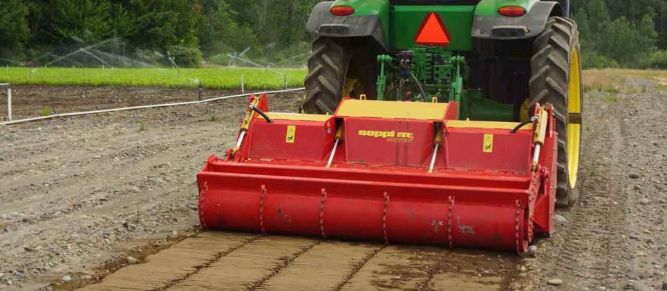 Seppi M Multiforst