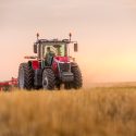 Massey Ferguson 8S